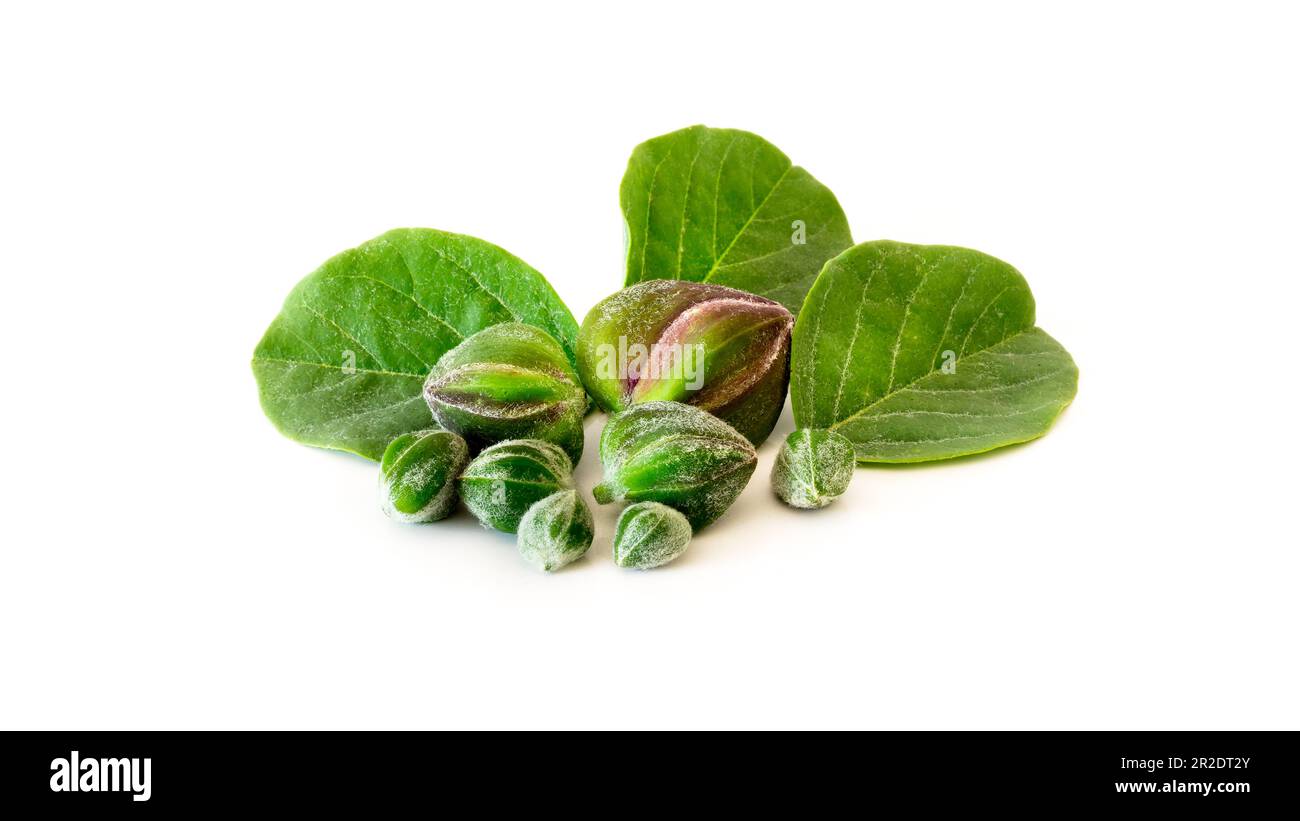 Group of capers hi-res stock photography and images - Alamy