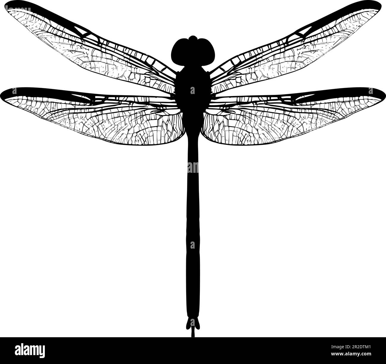 Dragonfly silhouette isolated on a white background. Vector illustration Stock Vector