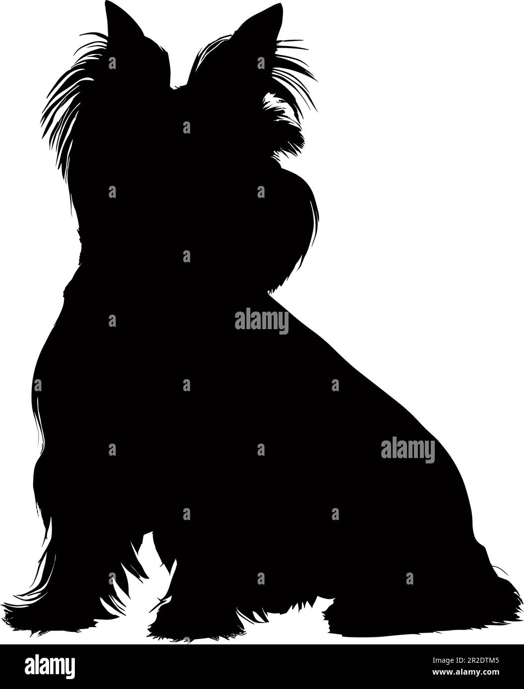 Sitting West highland Terrier dog silhouette isolated on a white background. Vector illustration Stock Vector
