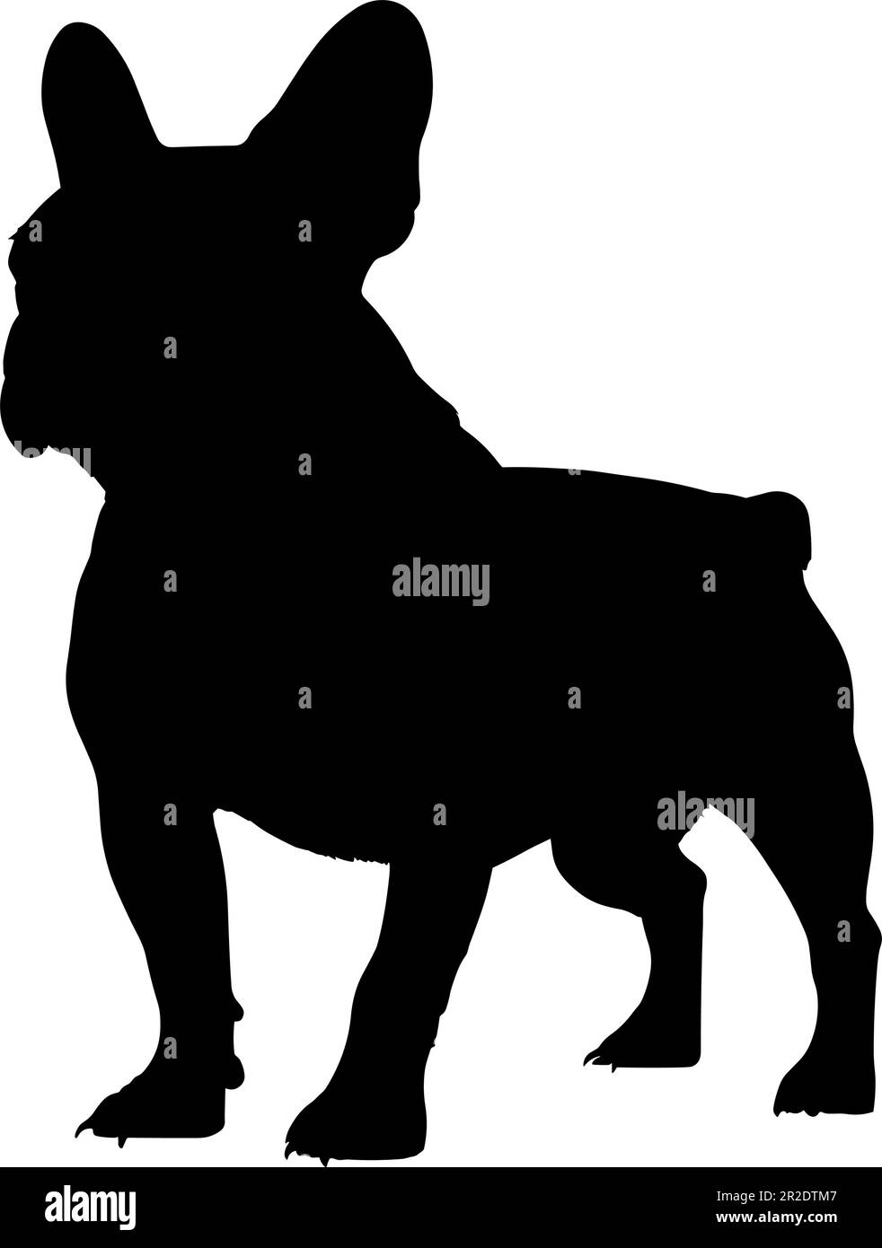 French bull dog silhouette isolated on a white background. Vector ...