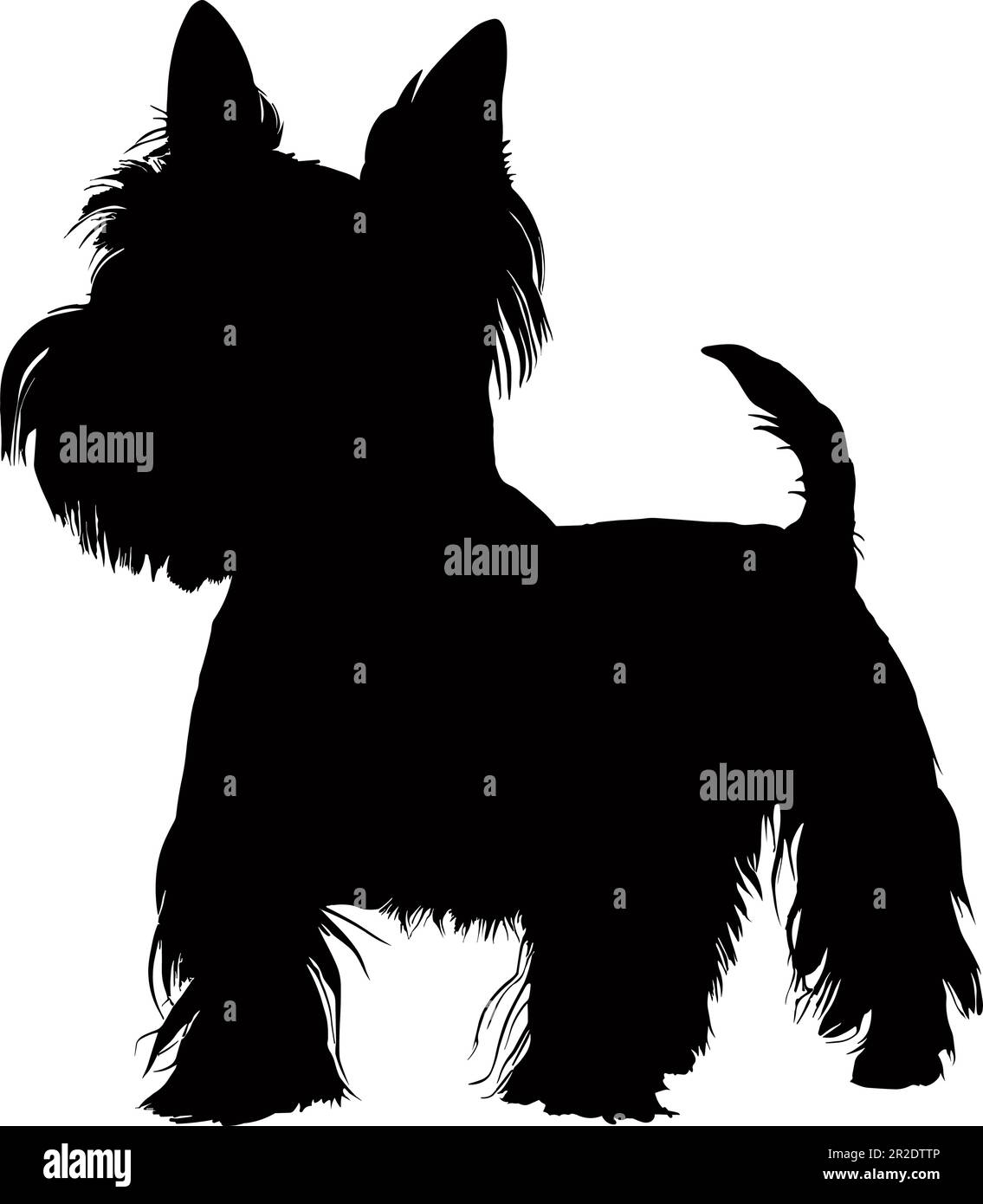 West highland Terrier dog silhouette isolated on a white background. Vector illustration Stock Vector