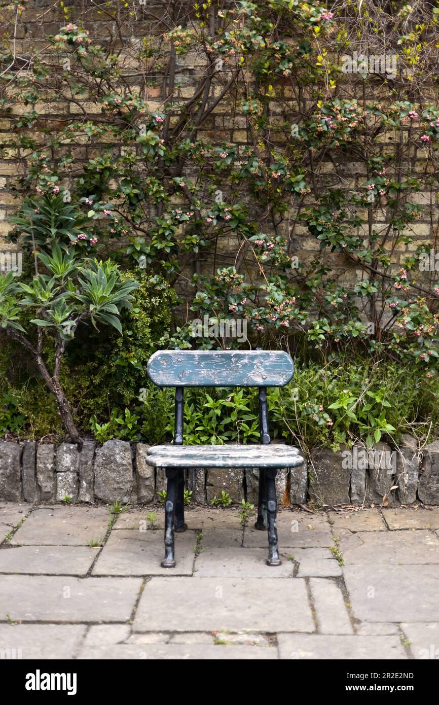 An empty chair in a garden with a beautiful stone wall behind it. Stock Photo