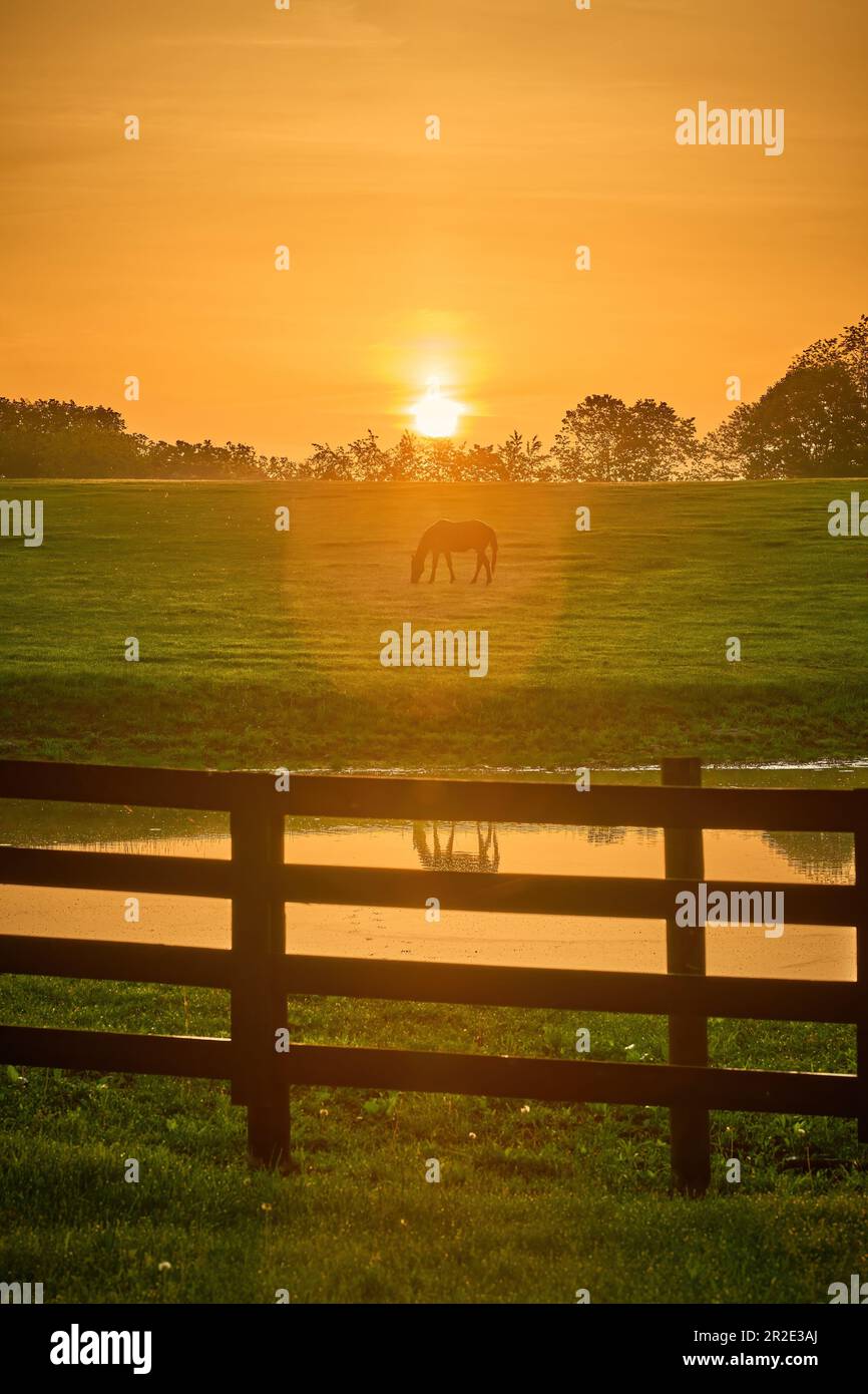 Rising sun flare hi-res stock photography and images - Alamy