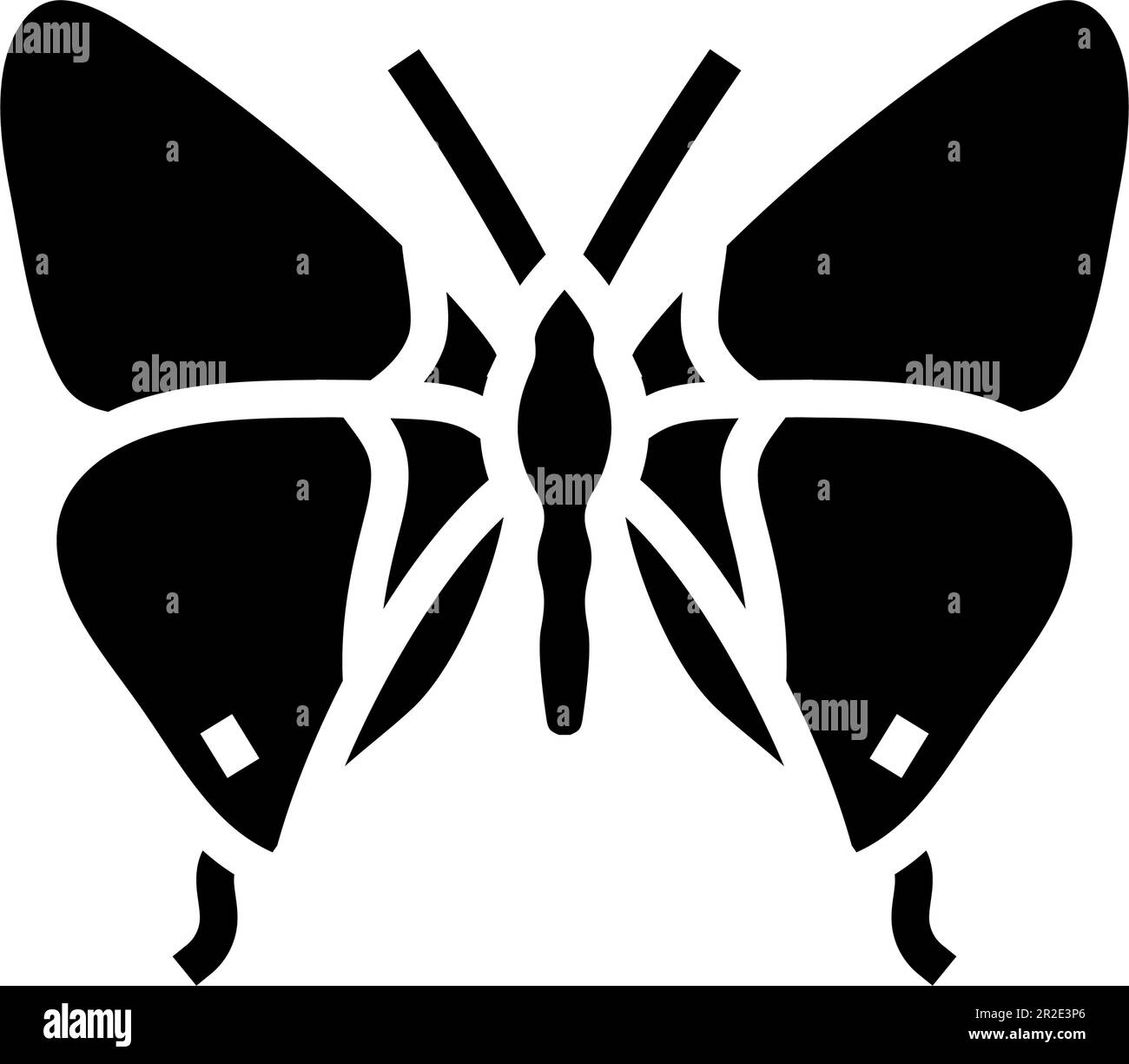 Long tailed insect Stock Vector Images - Alamy