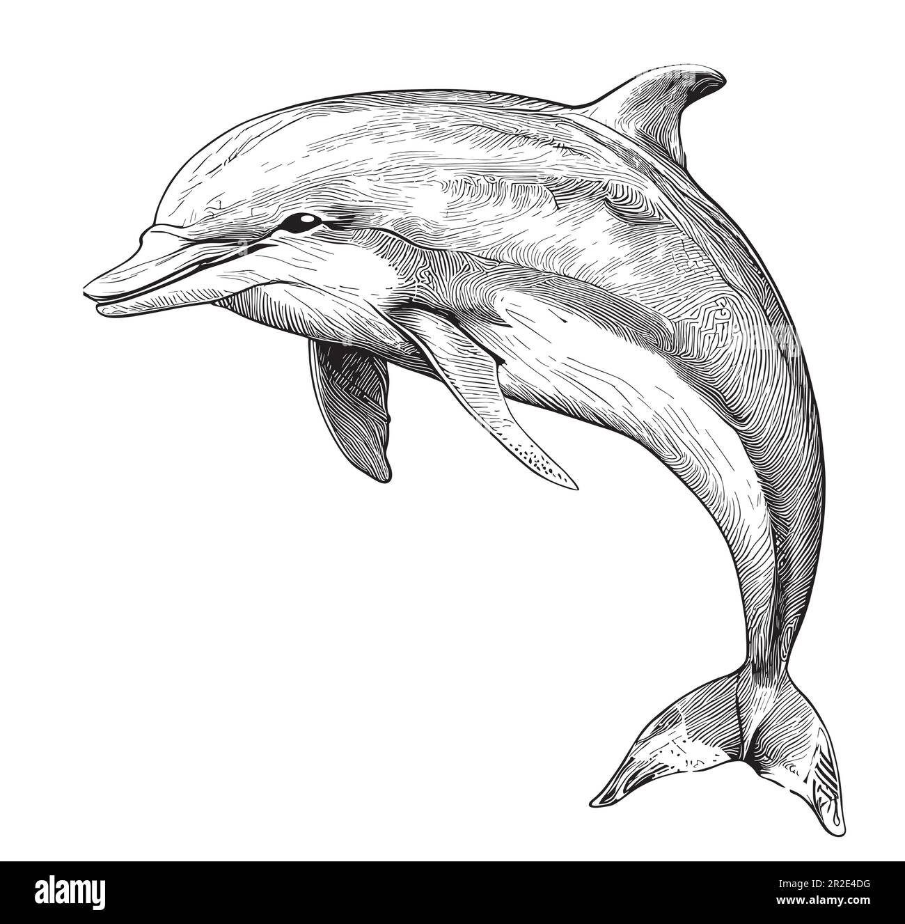 Tribal Dolphin Drawing by Carol Lynne - Fine Art America