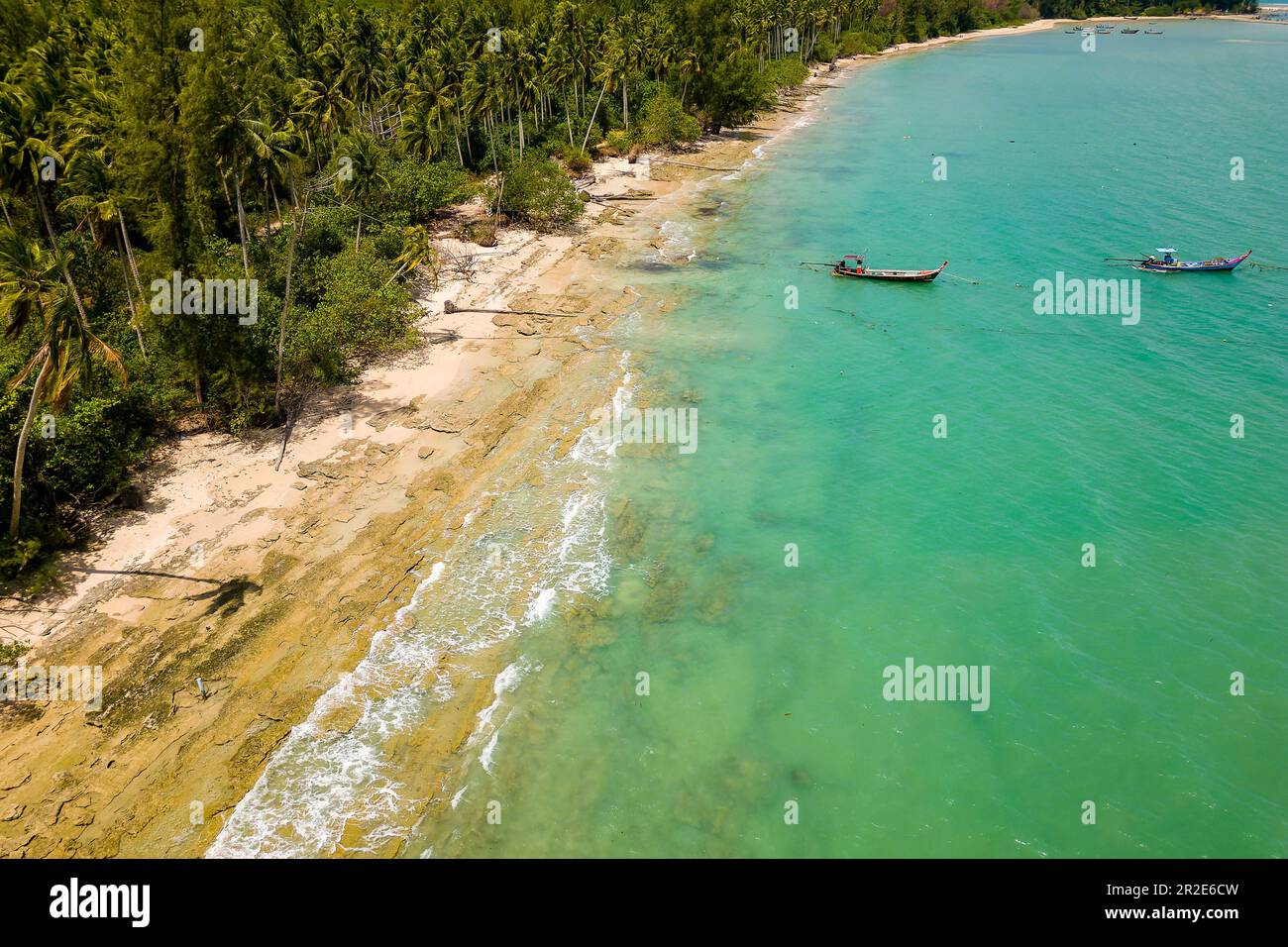 Palm trees on rocky coastline hi-res stock photography and images - Alamy