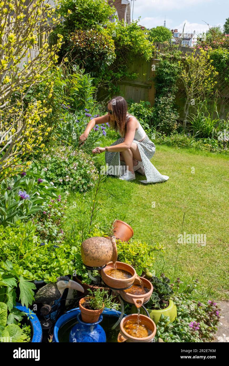 Young woman in her 30s tending a small urban garden in Spring sunshine Stock Photo