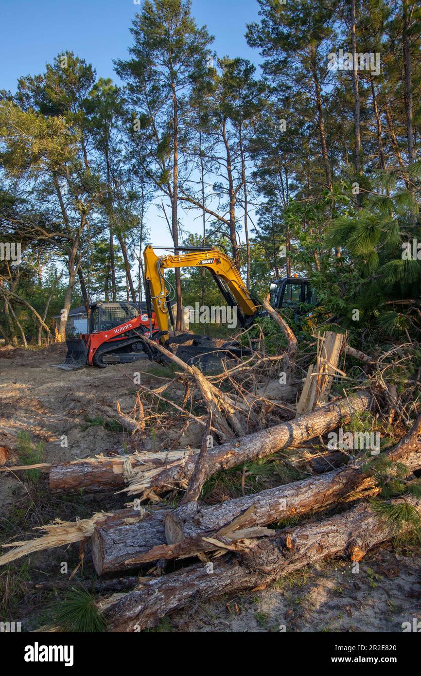 Native forest habitat destroyed for new housing construction in north