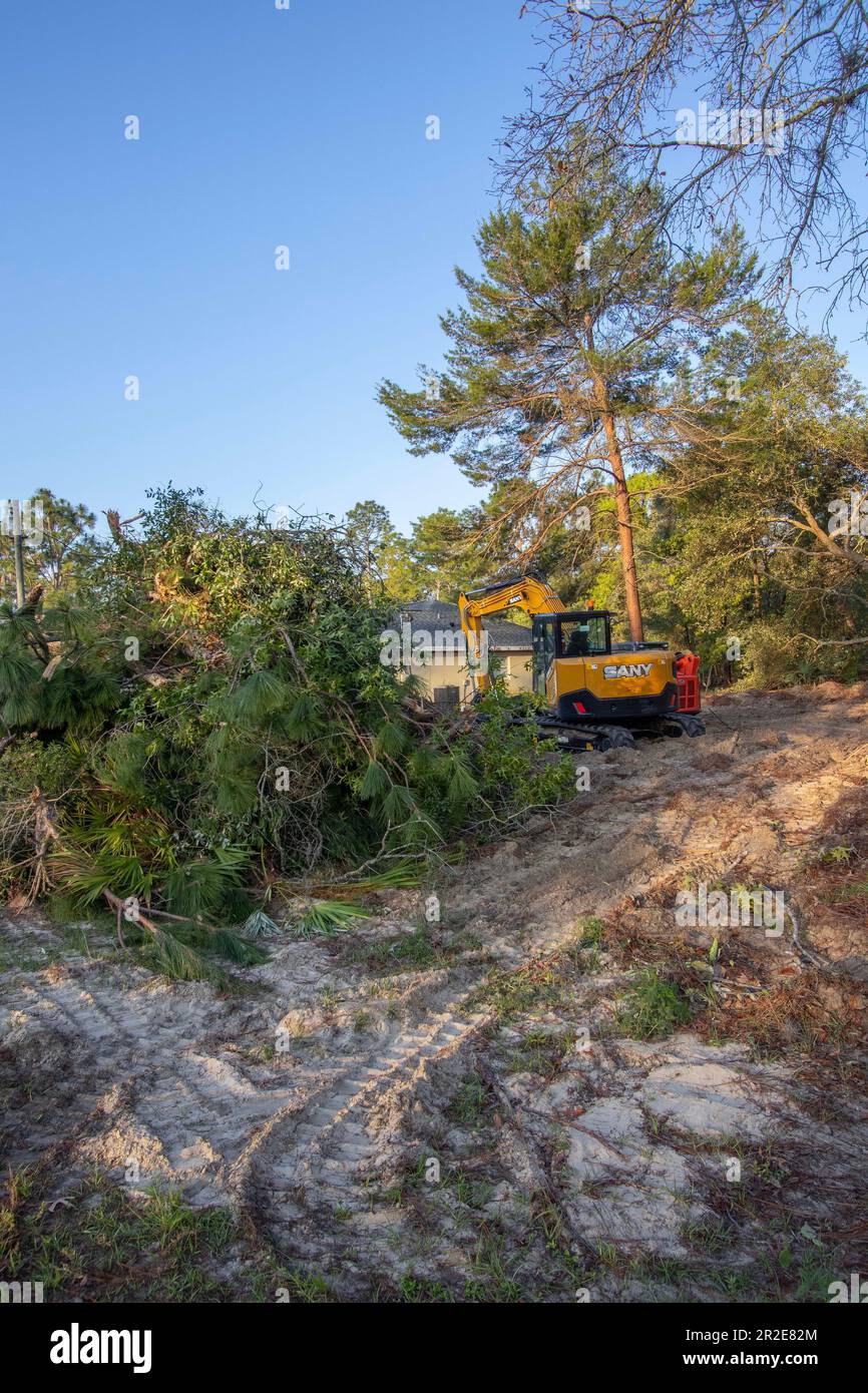 Native forest habitat destroyed for new housing construction in north