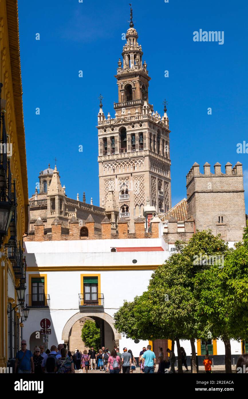 Spain, Seville, Seville Cathedral, Cathedral of Saint Mary of the See, completed in 16th century and is one of the largest churches in the world. View Stock Photo