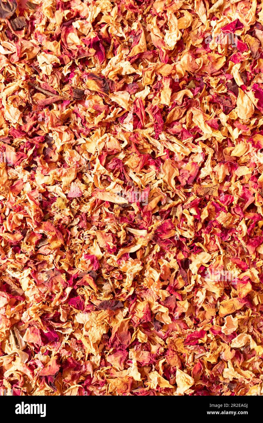 Texture dried rose petals, leaves. Potpourri, desiccated rose buds