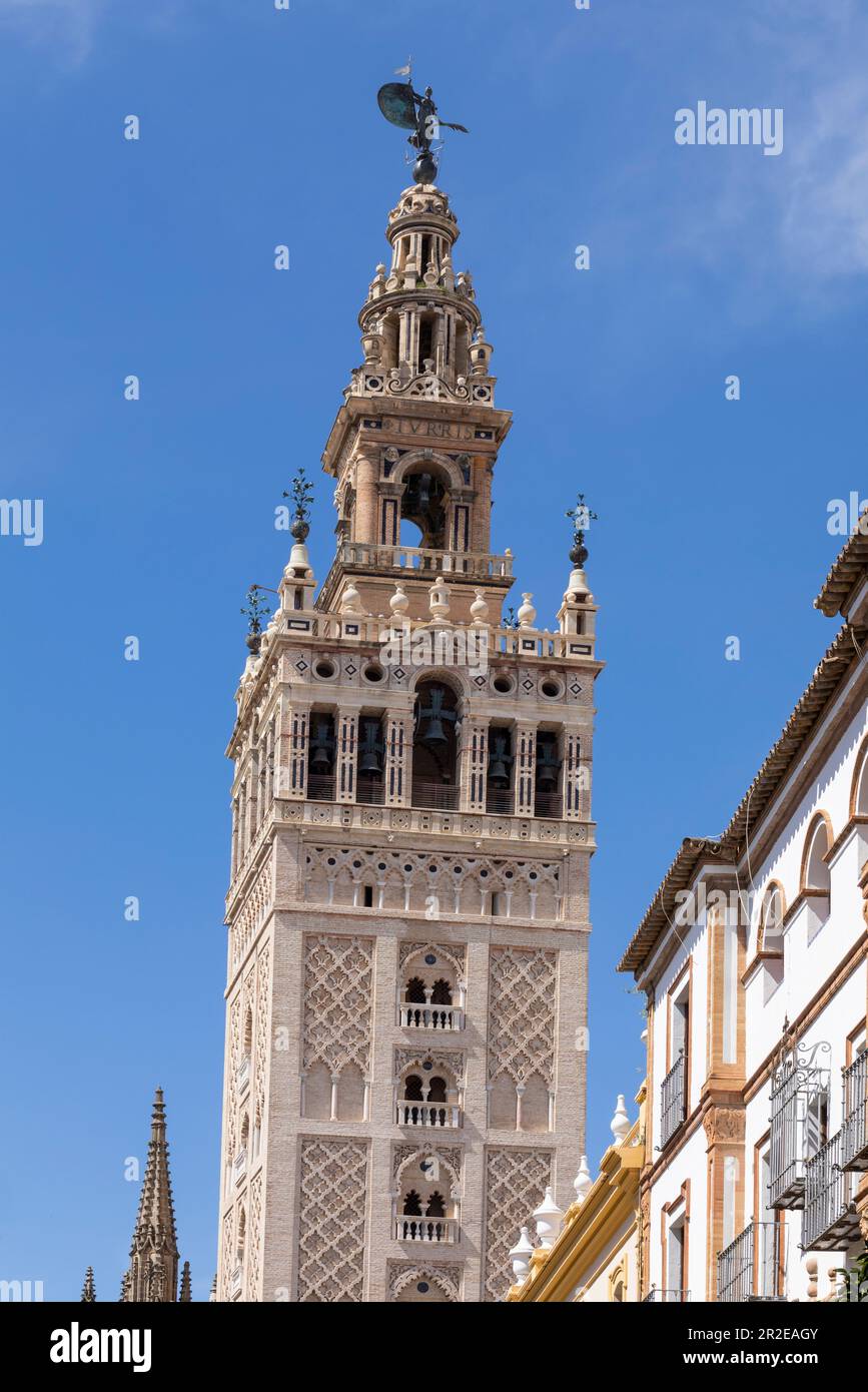 Spain, Seville, Seville Cathedral, Cathedral of Saint Mary of the See, completed in 16th century and is one of the largest churches in the world. View Stock Photo