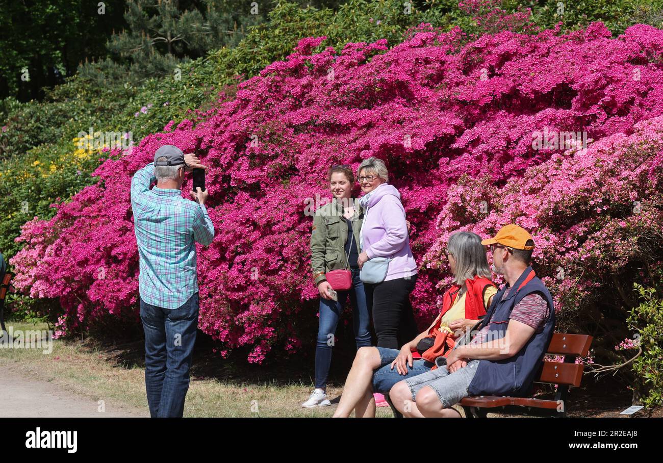 19 May 2023, Mecklenburg-Western Pomerania, Graal-M&uuml;ritz: In the