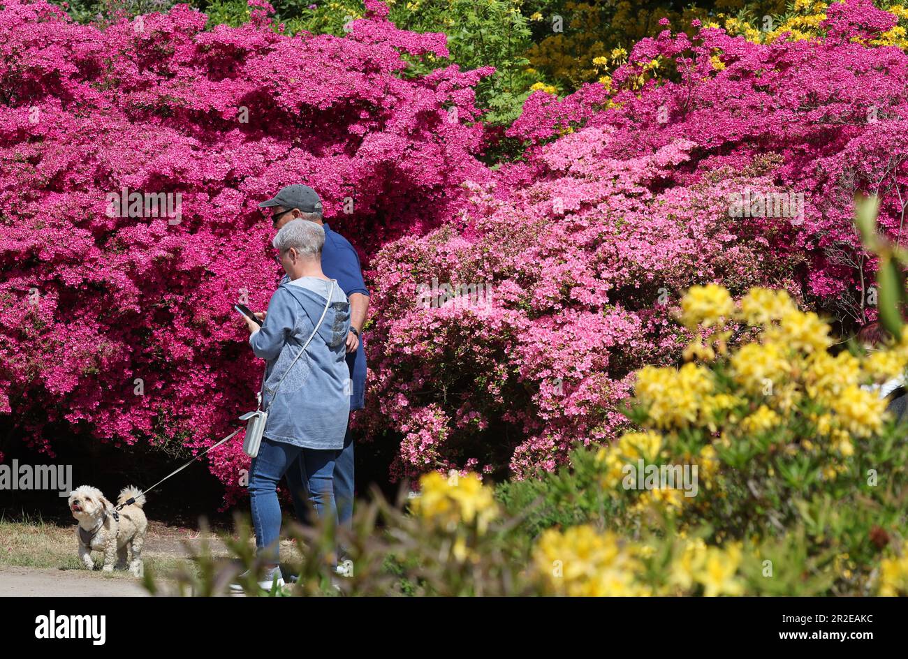 19 May 2023, Mecklenburg-Western Pomerania, Graal-M&uuml;ritz: In the
