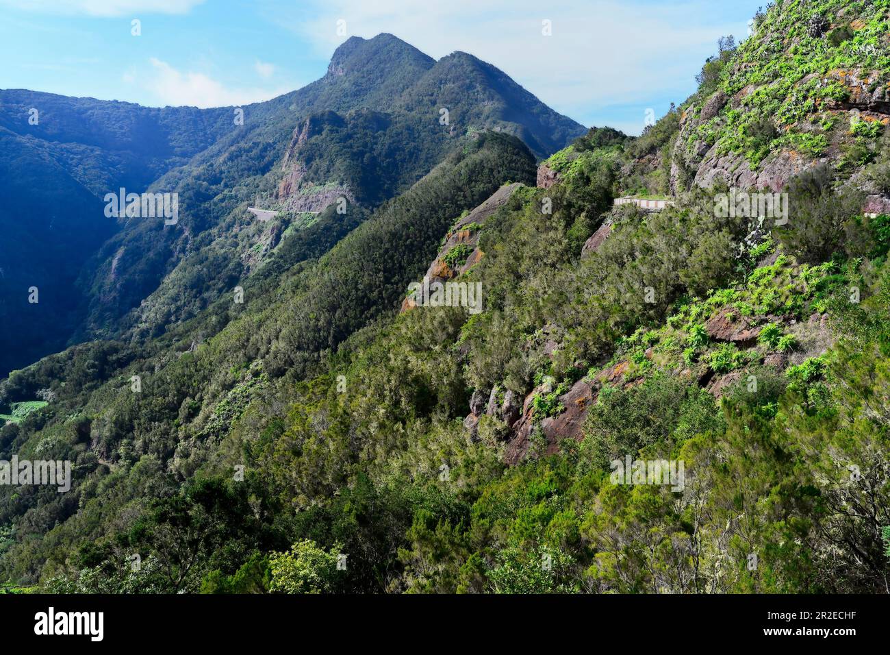 View Over The Anaga Rural Park And Mountains Tenerife Canary Islands View Over The Anaga Rural Park And Mountains Tenerife Canary Islands
