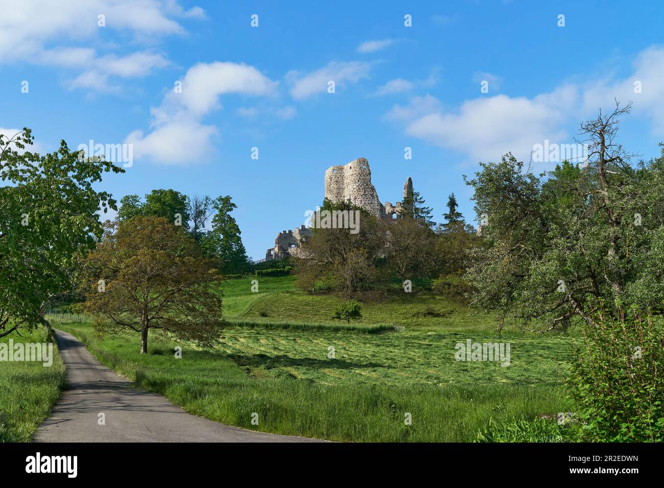 Pfeffingen castle hi-res stock photography and images - Alamy