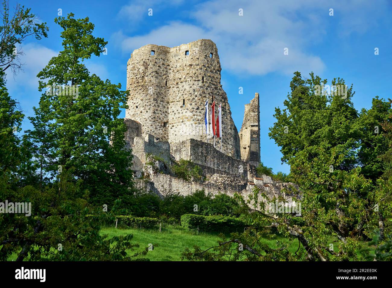 The Pfeffingen castle ruins tower high above the village of the same ...