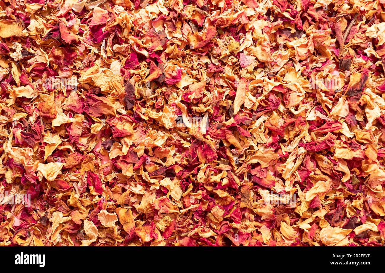 Texture dried rose petals, leaves. Potpourri, desiccated rose buds