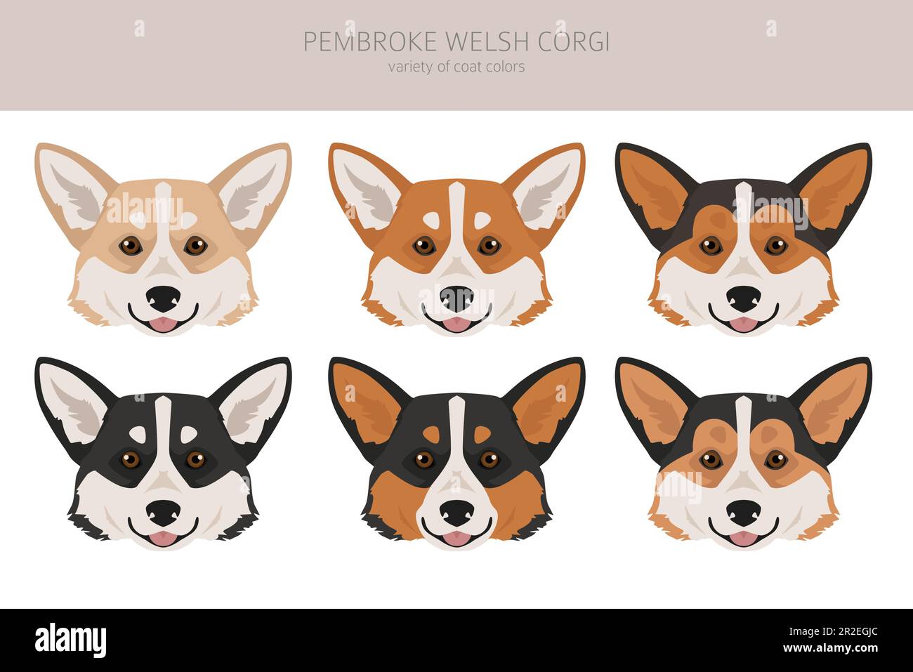 Welsh Pembroke clipart. All coat colors set. All dog breeds