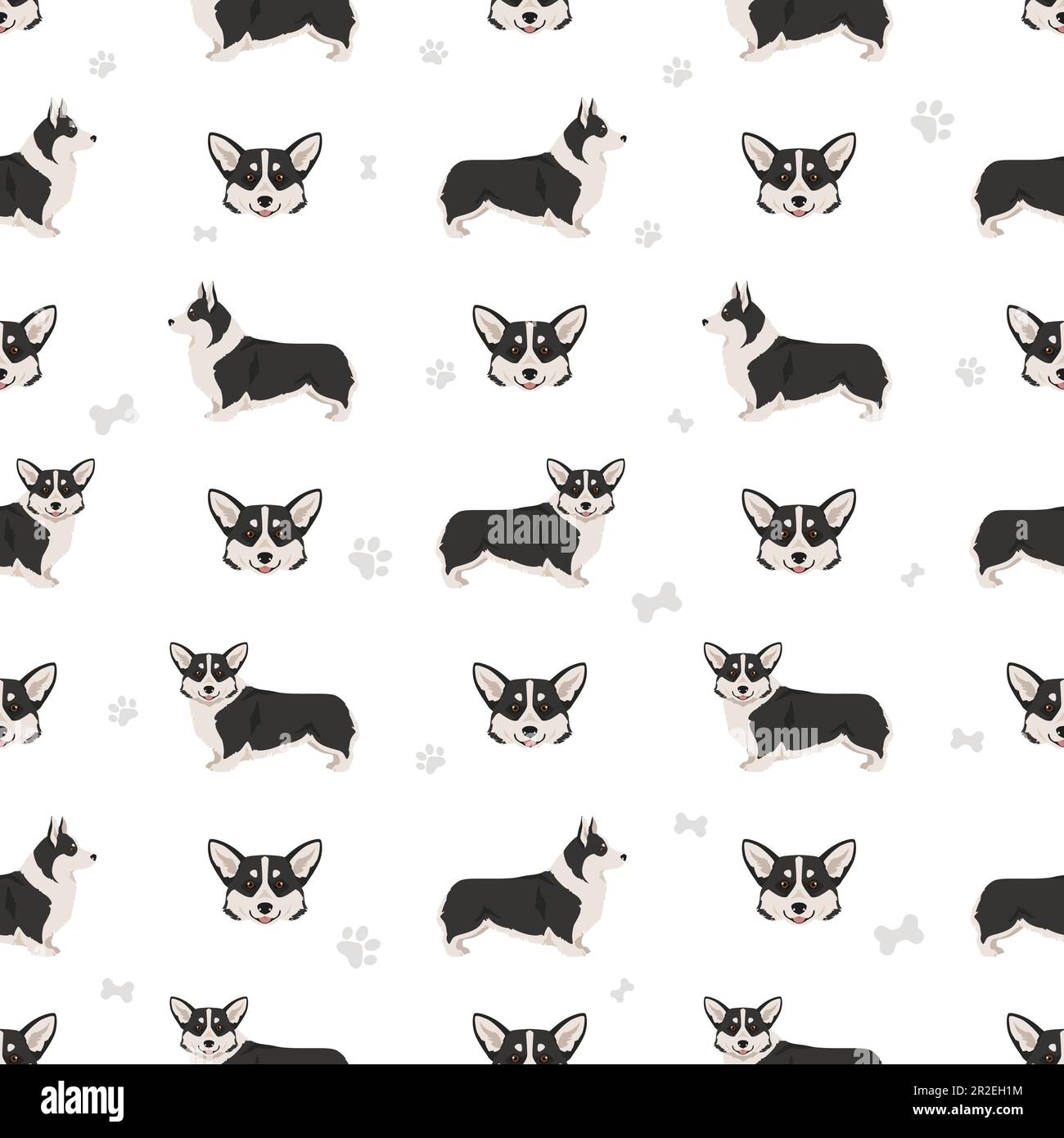 Welsh Pembroke seamless pattern. All coat colors set. All dog