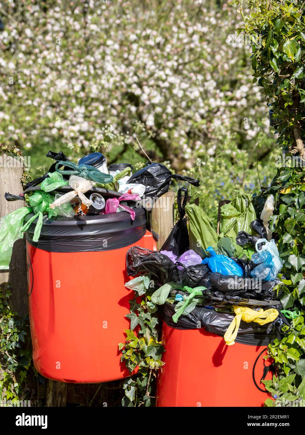 A litter bin overflowing with dog poo bags in the grounds of Blickling Hall near Aylesham