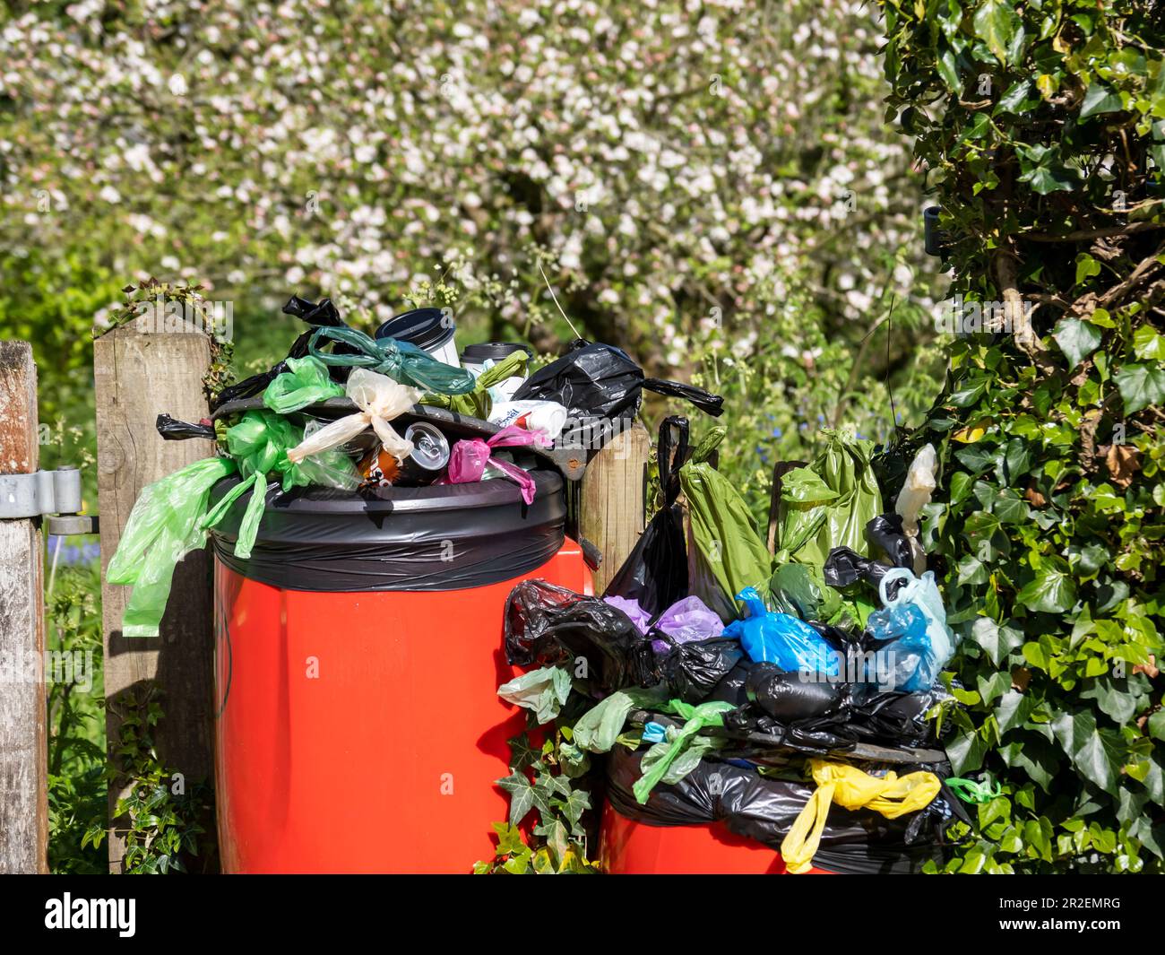 A litter bin overflowing with dog poo bags in the grounds of Blickling Hall near Aylesham