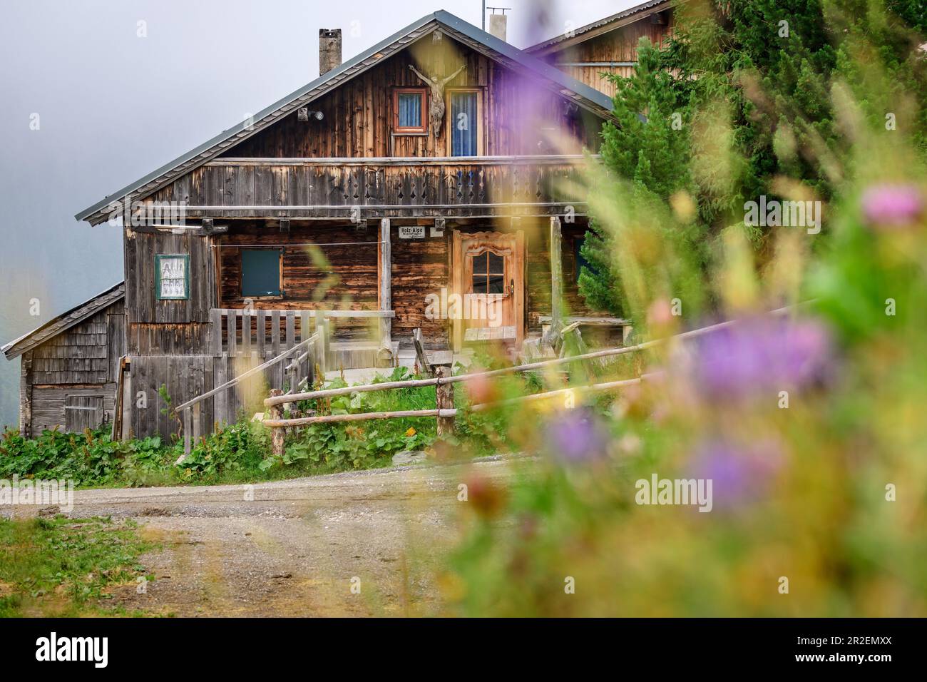 Traditional alpine hut made of wood, Holzalpe, Vier-Almen-Marsch, Zillertal, Tux Alps, Tyrol, Austria Stock Photo
