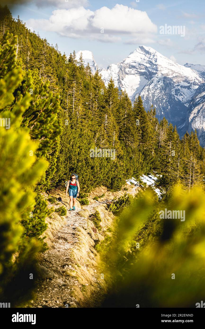 Young woman hiking in the Karwendel with spring-like conditions and snowy mountains in the background, Hinterriß, Tyrol, Austria Stock Photo