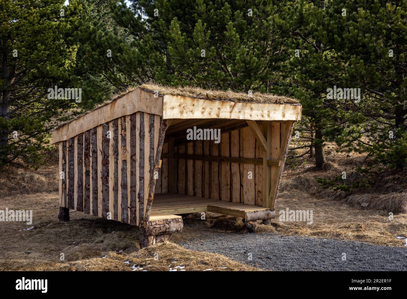 Wooden picnic hut with grass roof in the forest in Reykjavik, Iceland. Stock Photo