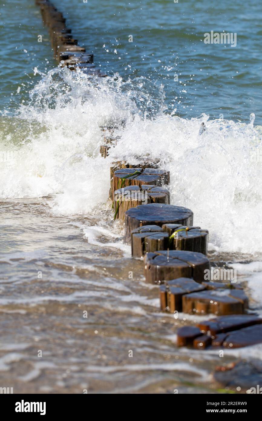 Old wooden groynes in the Baltic Sea Stock Photo