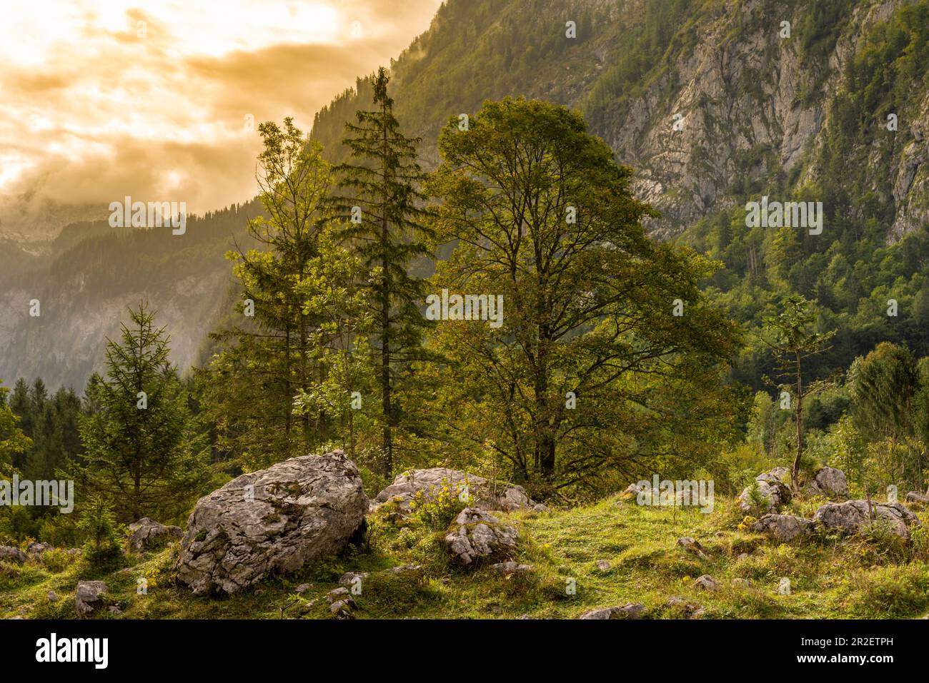 Idyllic landscape on Königssee near Salet, Berchtesgaden National Park, Berchtesgadener Land, Upper Bavaria, Bavaria, Germany, Europe Stock Photo