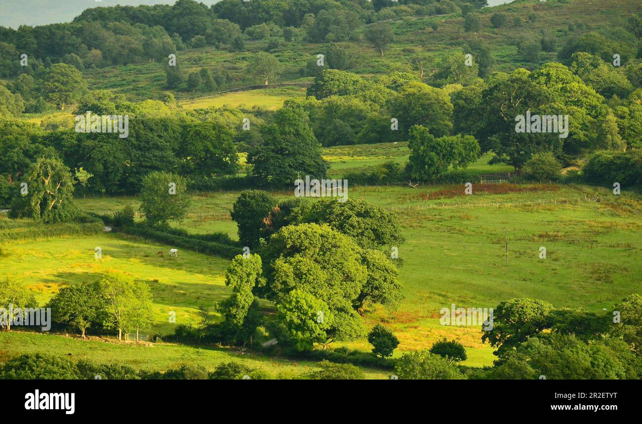 Greenfields England Green fields of england hi-res stock photography and images - Alamy