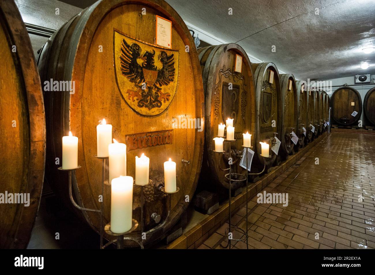 Old wine barrels, Badischer Winzerkeller, Breisach am Rhein, Breisgau, Black Forest, Baden-Württemberg, Germany Stock Photo