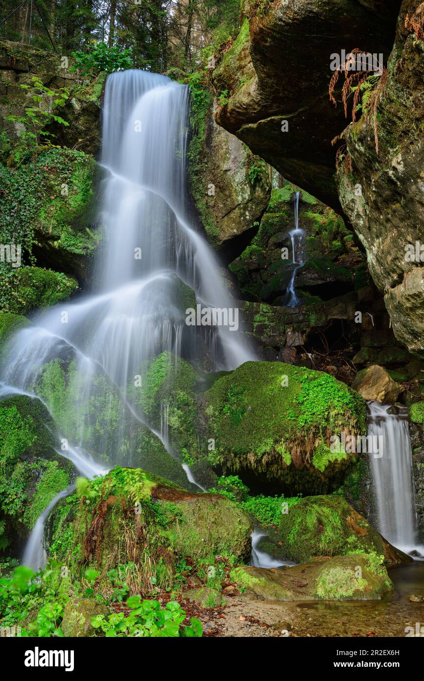 Lichtenhain Waterfall, Kirnitzschtal, Elbe Sandstone Mountains, Saxon ...