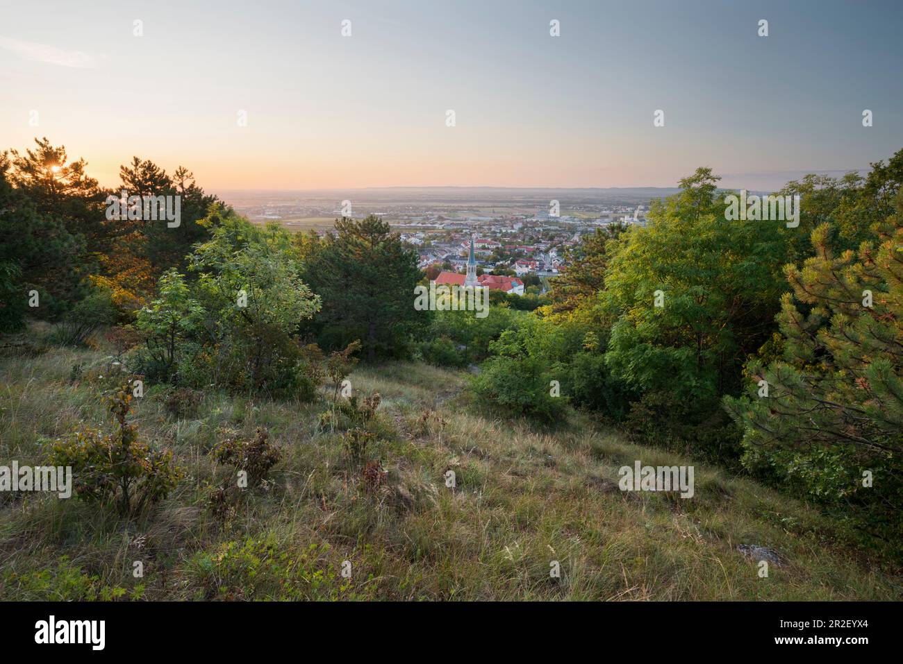 View of Gumpoldskirchen, St. Michael Church, thermal region, Lower Austria, Austria Stock Photo