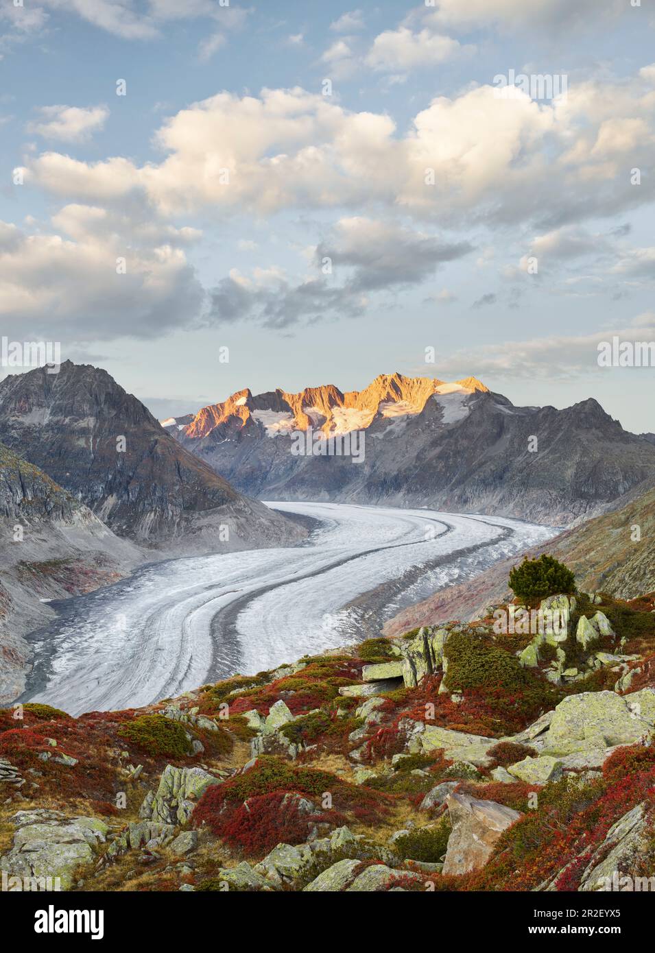 Aletsch glacier near Bettmeralp, Wannenhorn, Valais, Switzerland Stock Photo