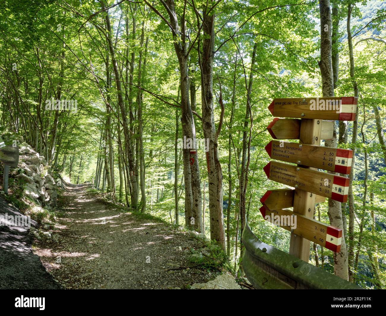 Sentiero dello spirito hi-res stock photography and images - Alamy