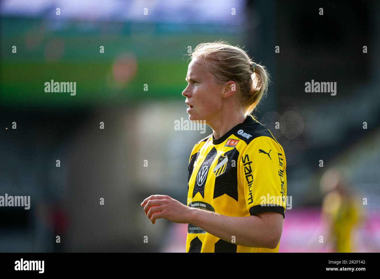 Bk 2024 hacken fc