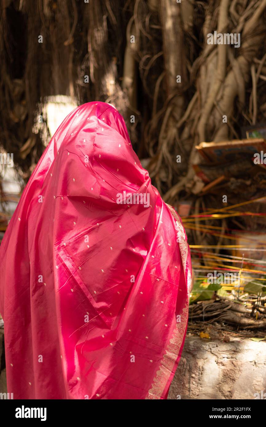 women praying for hindu religious worship of banyan tree on vat savitri ...