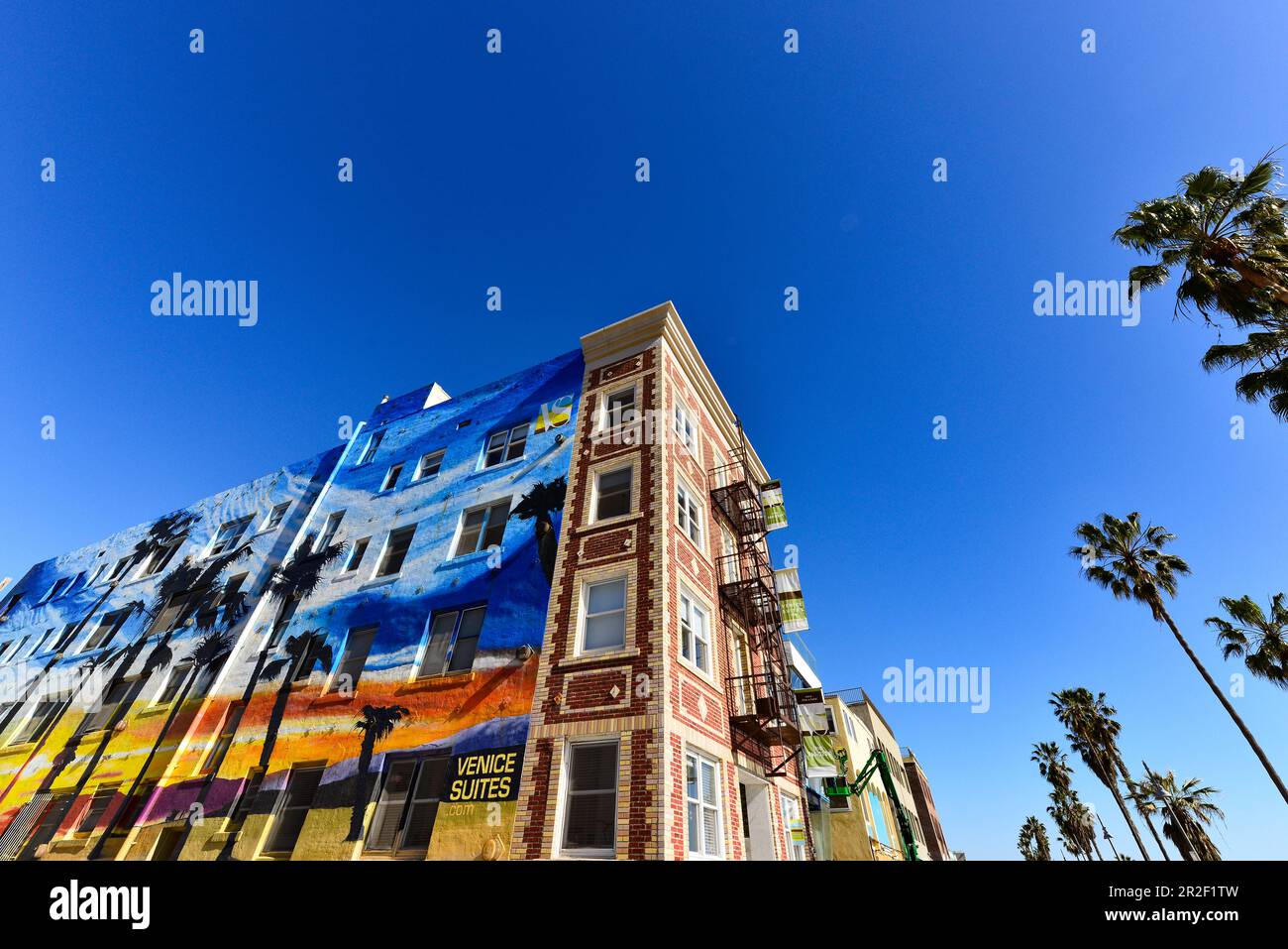 Palm trees and brightly painted facade of the Venice suites, Venice