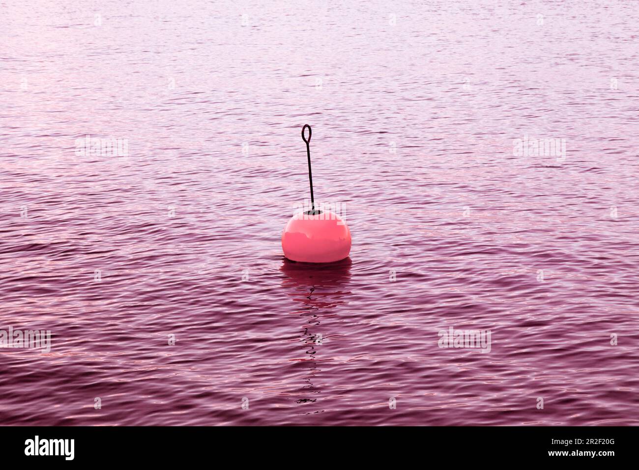 Isolated plastic red bouy on a calm water concept image with copy