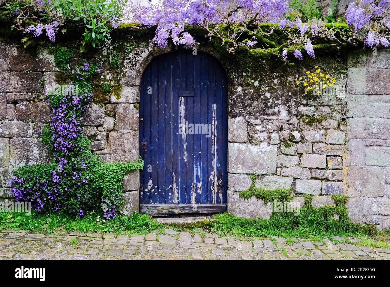 Blue arched doorway with Wisteria Stock Photo