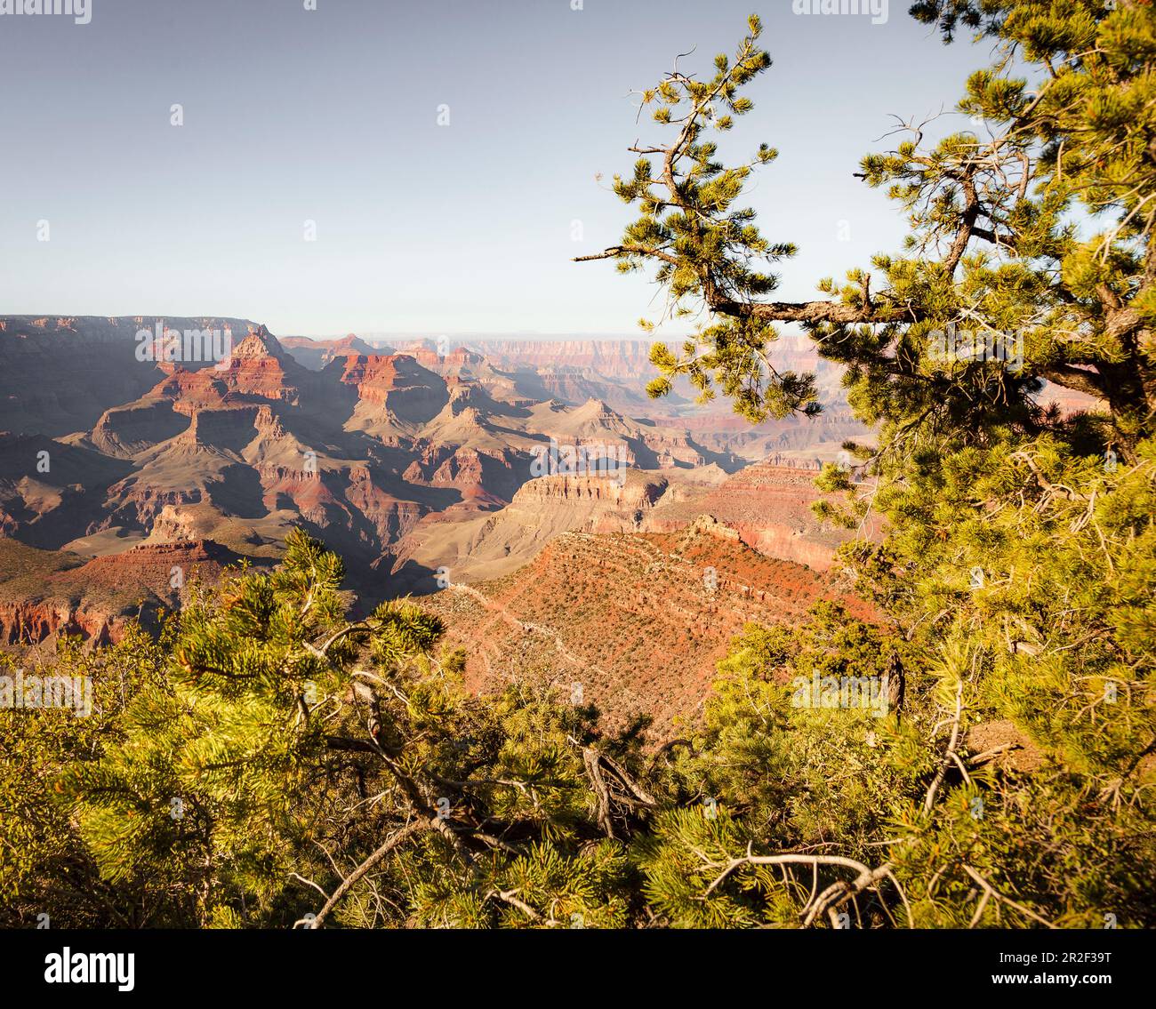 Attraction summer south rim hi-res stock photography and images - Alamy
