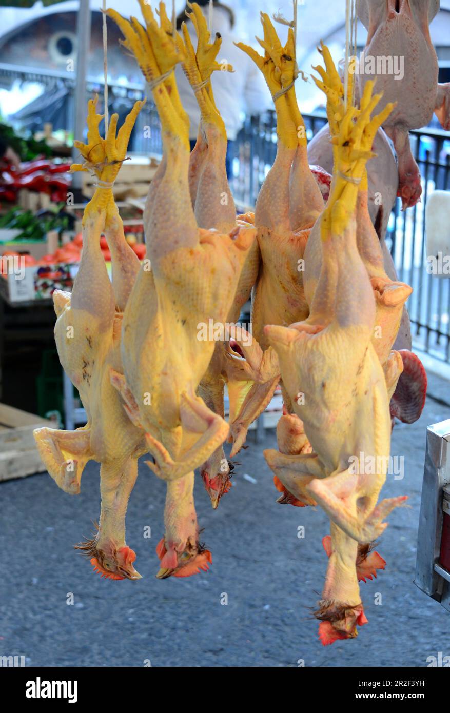 dead chickens hung up in the market, Catania, east coast, Sicily, Italy Stock Photo