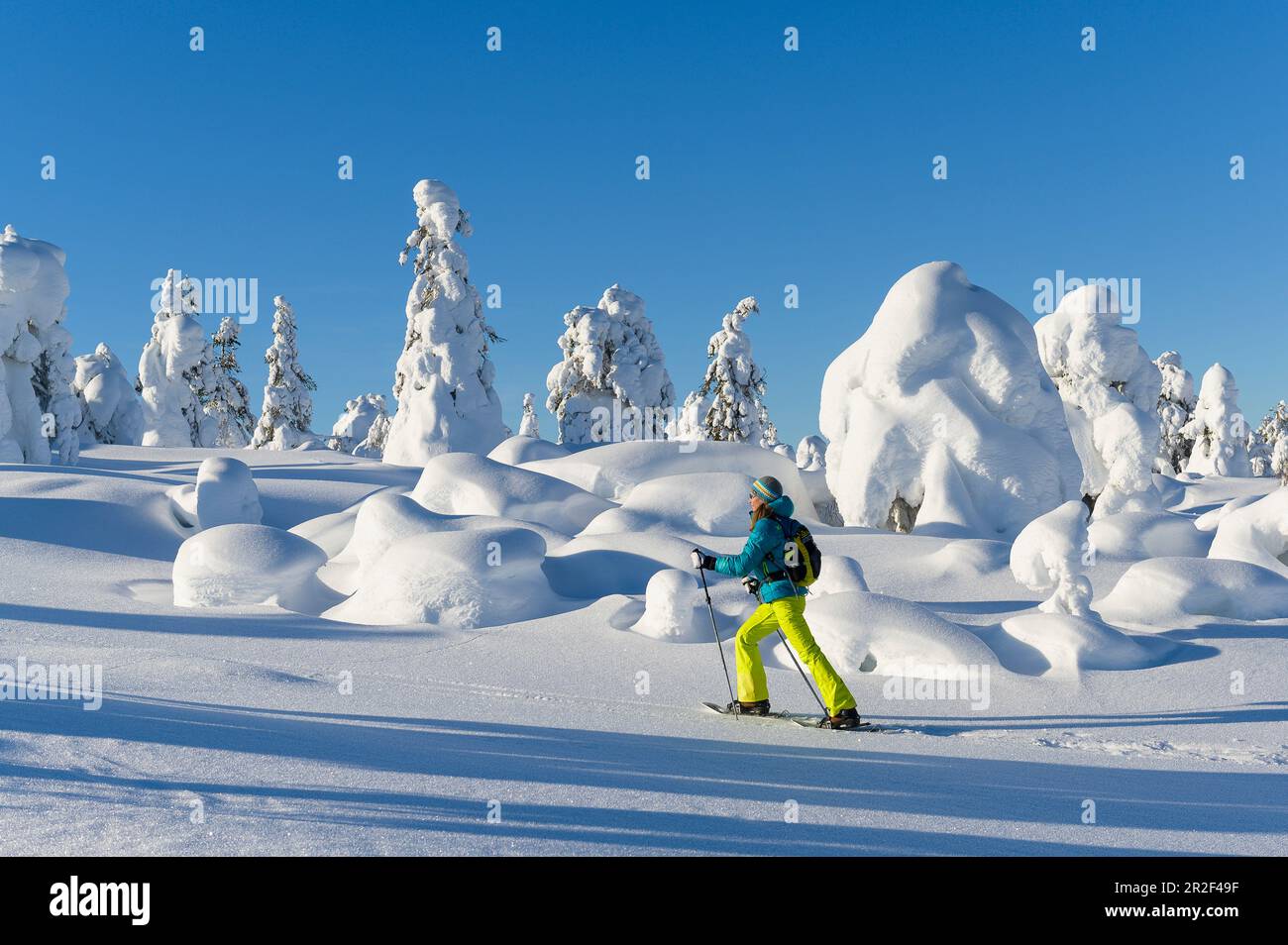 Snowshoeing in Pyhä-Luosto National Park, Finland Stock Photo