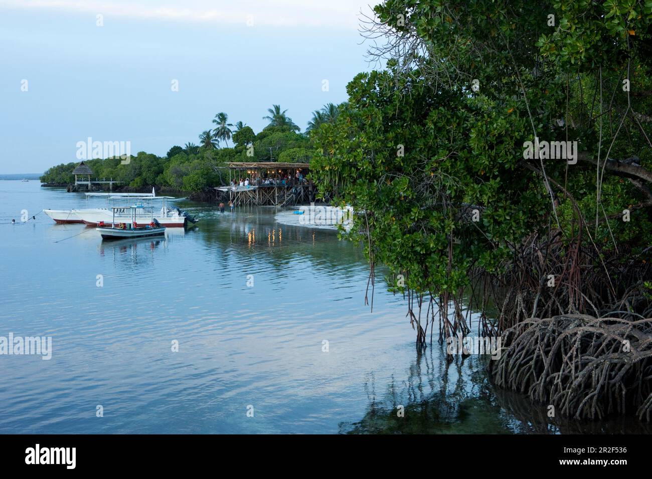 Lighthouse bar at Temple Point Resort, Watamu, Mida Creek, Malindi, Kenya Stock Photo