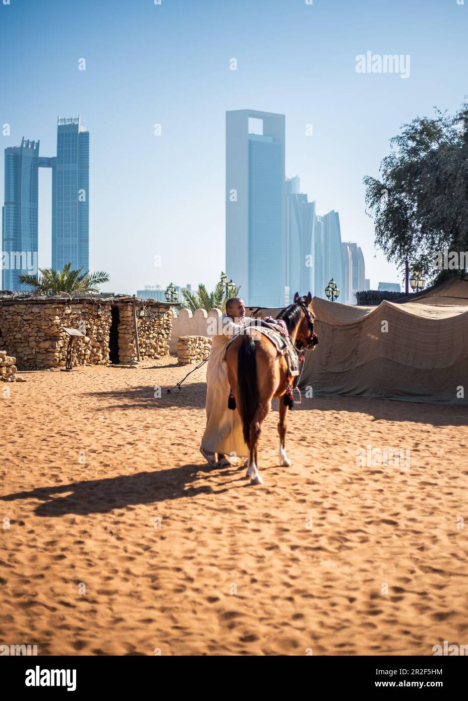 Local saddles a horse at the Heritage Village in Abu Dhabi, UAE Stock