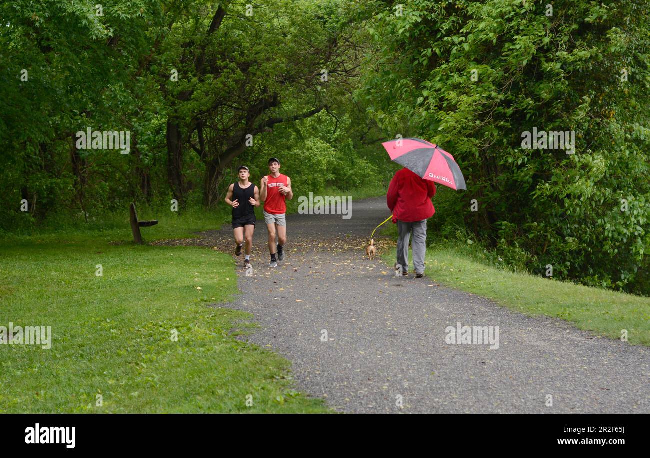 Walking the dog in the rain hires stock photography and images Alamy