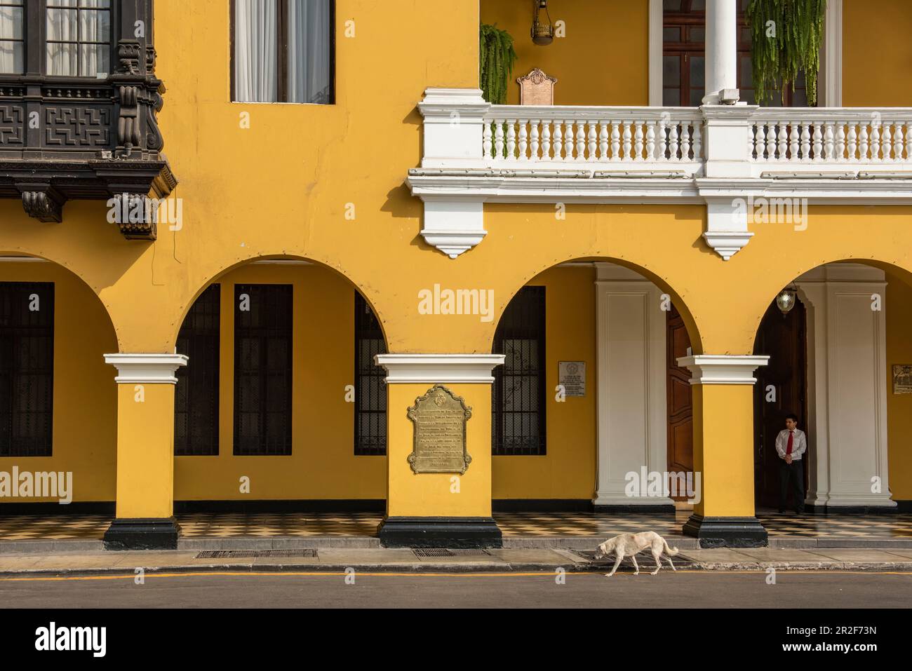 A dog sneaks past a stunning colonial palace in the central square