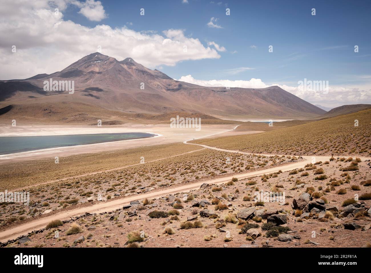 Laguna Miscanti and Miñiques, &amp;quot;Altiplano&amp;quot; plateau, Atacama desert ...